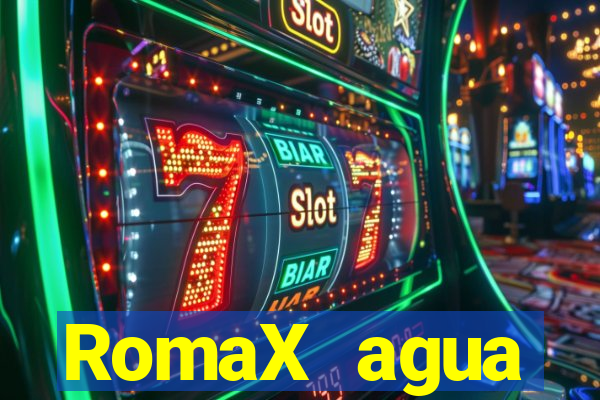 RomaX agua sanitaria fispq agua sanitaria romax